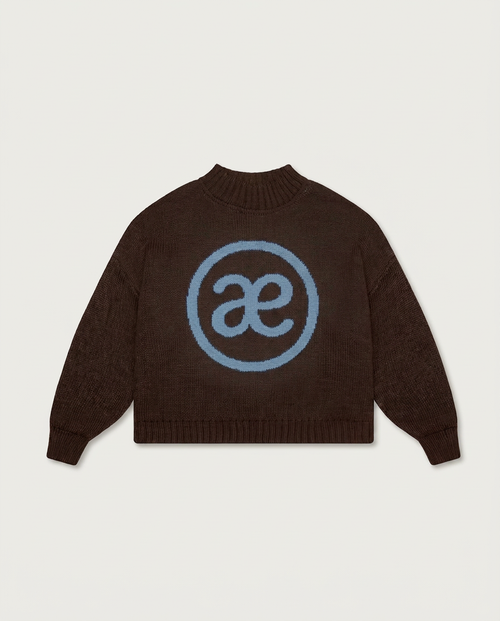 A dark brown knit sweater with a light blue circular logo featuring interlocking 'ae' letters on the chest, displayed against a light gray background.